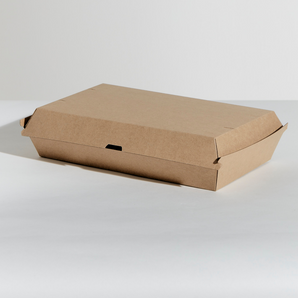 Brown cardboard box on a white background